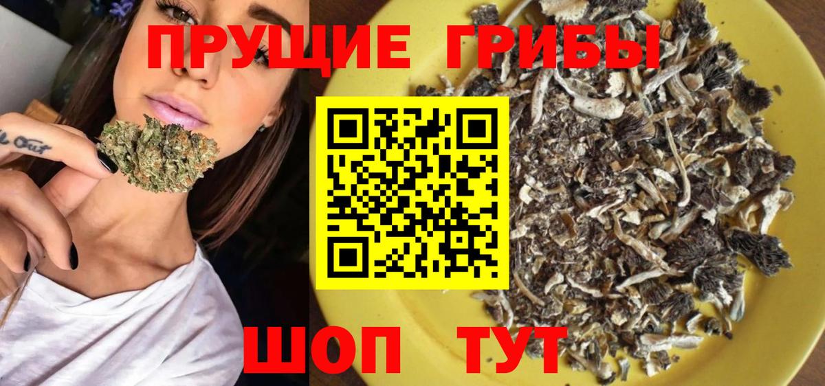 Псилоцибиновые грибы прущие грибы Луга