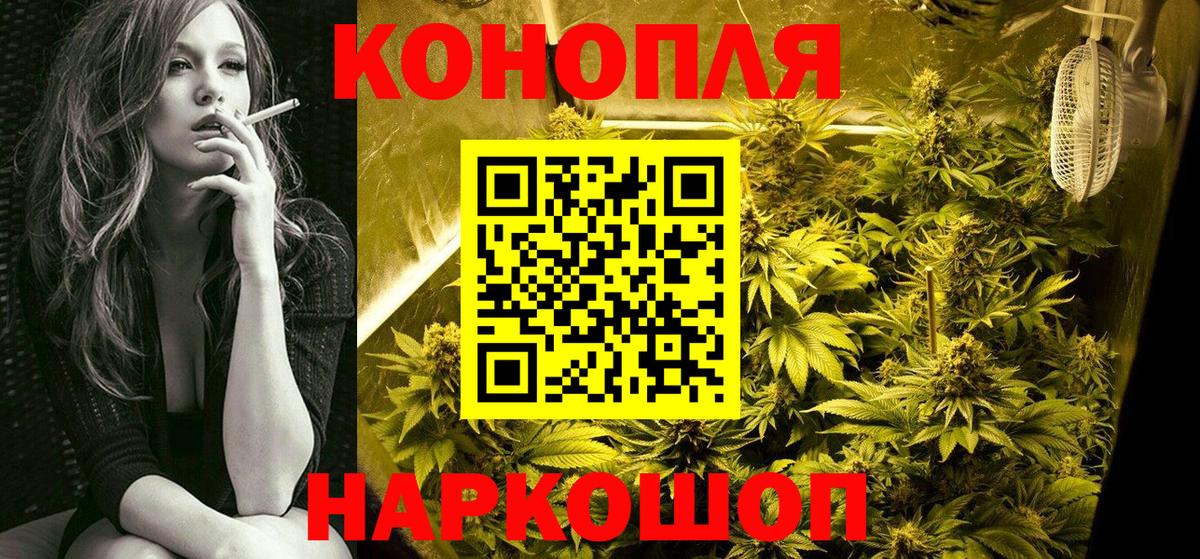 Бошки Шишки семена Луга
