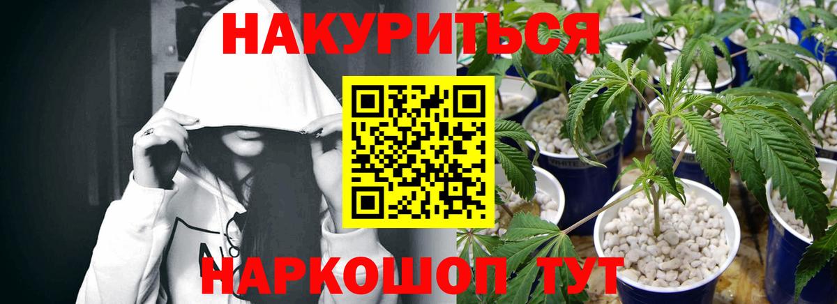Луга  МАРИХУАНА Amnesia  Вход с VPN  Шишки марихуана SATIVA & INDICA 